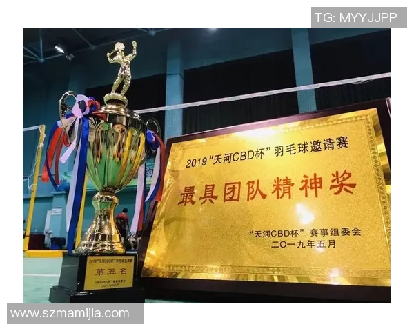 羽毛球力量排行榜揭晓深圳羽毛球队荣获第三名佳绩