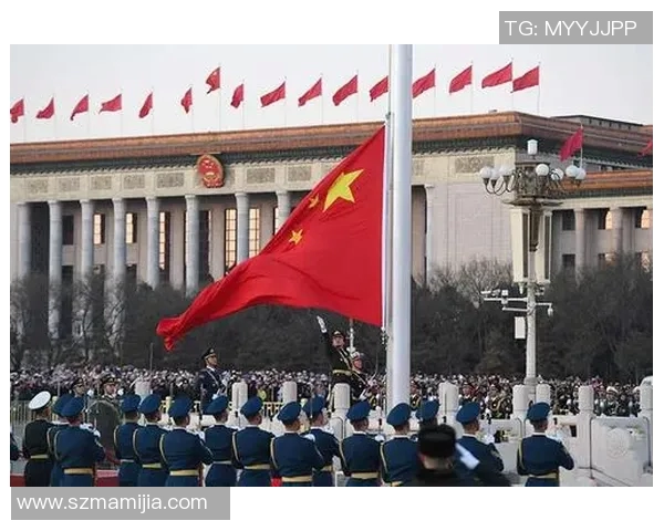 深圳排球队的辉煌征程与突破成就全景回顾