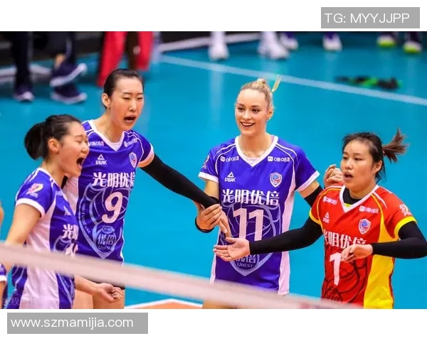 赛后分析:上海排球队与南京排球队技术对抗的深度剖析与启示 赛后分析:上海排球队与南京排球队技术对抗的深度剖析与启示