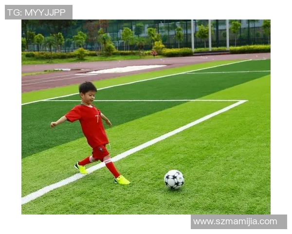 足球明星巴洛特的传奇人生与场上风采解析 足球明星巴洛特的传奇人生与场上风采解析