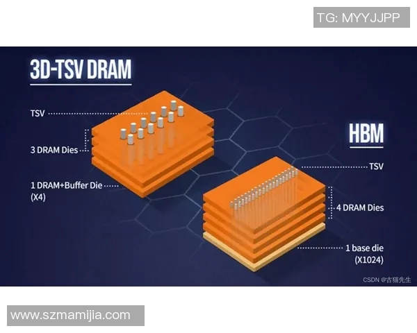 上海乒乓球队快攻革新之路：技术提升与战术变革的深度解析