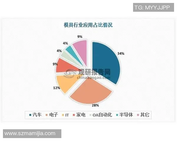 南京羽毛球队运营策略深度分析与发展前景展望