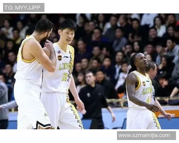 广州羽毛球队以83分稳居挑战赛积分榜首位展现强劲实力