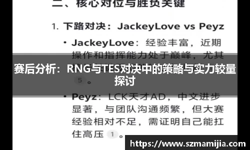 赛后分析：RNG与TES对决中的策略与实力较量探讨
