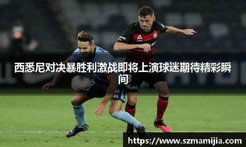 k1体育网页版